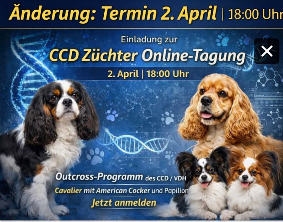 Einladung an alle CCD Züchter