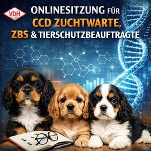 Online Sprechstunde Online Sprechstunde