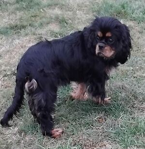 von den Tangerwiesen von den Tangerwiesen